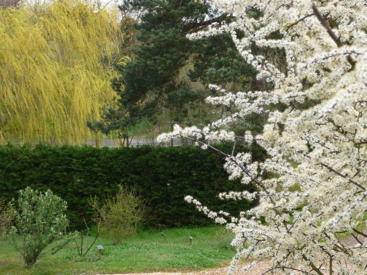 Gite Les Jardins De Terrefort Saumur Exterior foto